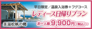レディース日帰りプラン