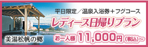 レディース日帰りプラン