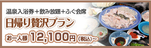 日帰り贅沢プラン